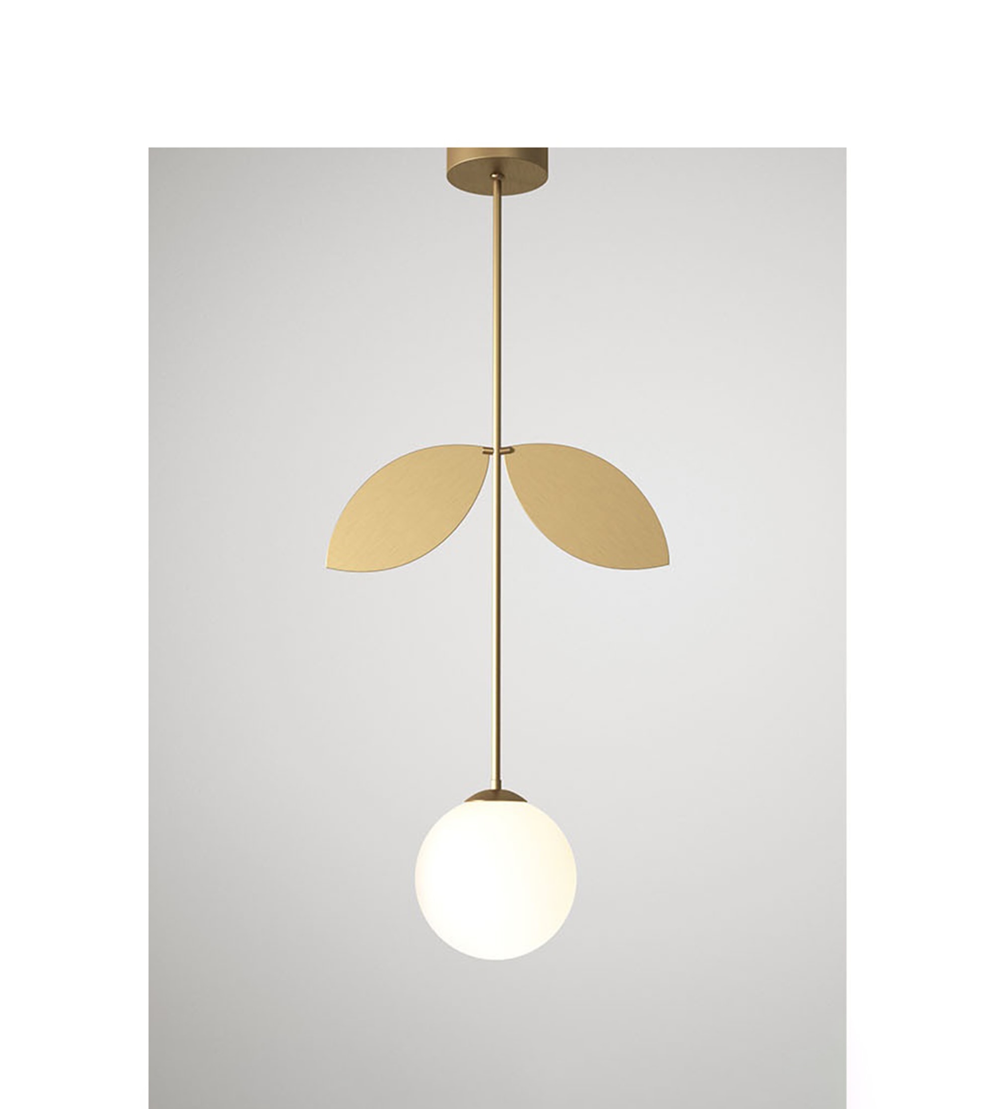 Plafonnier Plant pendant Atelier Areti