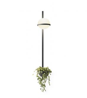 Applique Palma - 3714