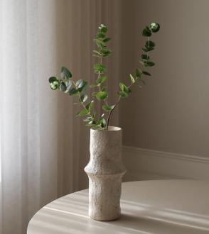 Feuillage Eucalyptus