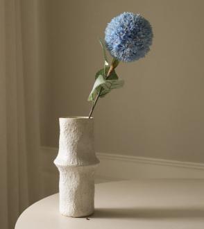 Fleur Allium Azureum Bulbe